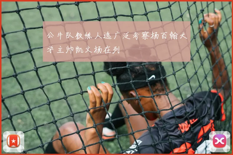 公牛队教练人选广泛考察杨百翰大学主帅凯文杨在列